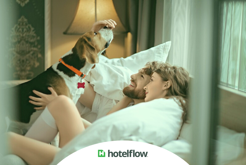 Tornar seu hotel pet friendly é vantajoso? Descubra no nosso artigo!