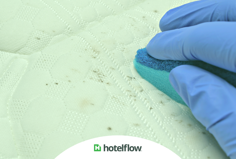 Dicas para Remover Manchas em Toalhas e Roupa de Cama: Guia para Proprietários de Hotéis e Pousadas