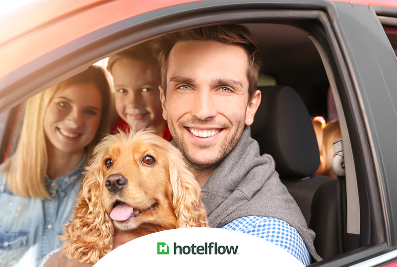 Maneiras para acomodar os animais de clientes em seu hotel ou pousada e se tornar “pet friendly”