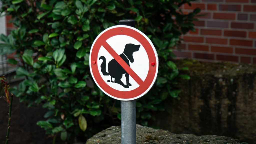 placa sinalização animais hotel 